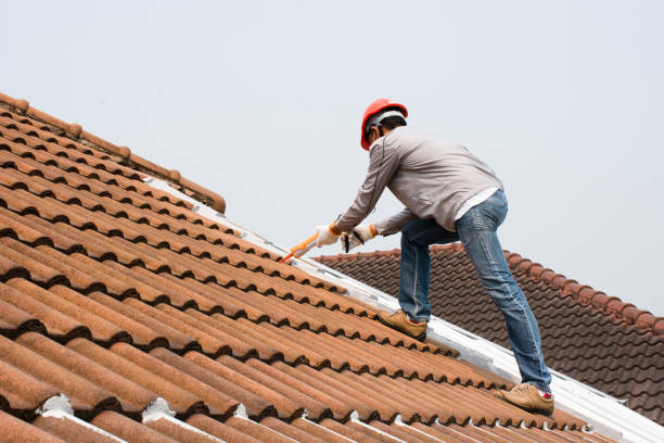 Best Gutter Installation and Repair  in Elgin, IL