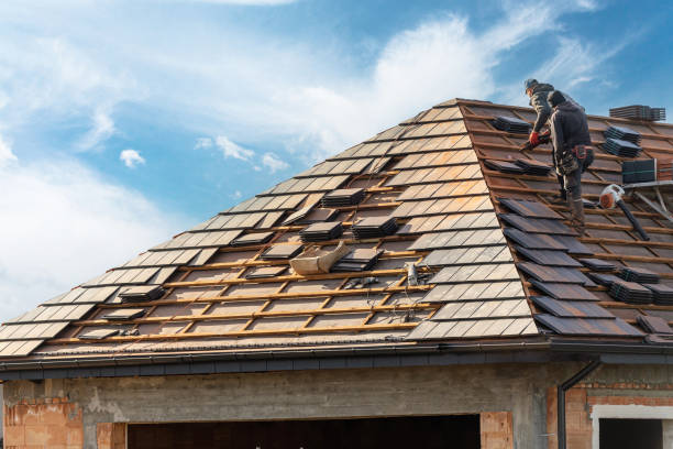 Best Rubber Roofing (EPDM, TPO)  in Elgin, IL