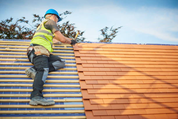 Elgin, IL  Roofing repair and installation Company